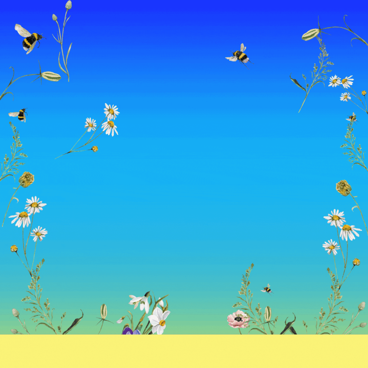 AF_Sustainable_Spirits (1)